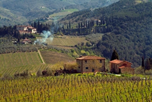 Italy, Country homes in the Tuscan region, surrounded by vineyards Italy, Country homes in the Tuscan region, surrounded by vineyards
