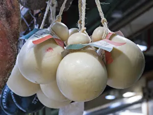 Italy, Florence. Mozzarella balls hanging in a shop in the Central Market Italy, Florence. Mozzarella balls hanging in a shop in the Central Market
