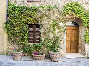 Italy, Tuscany. Entrance to a home in Tuscany decorated with potted plants Italy, Tuscany. Entrance to a home in Tuscany decorated with potted plants