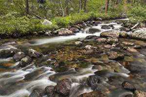Jacobson Creek in the Pioneer Mountains of the Beaverhead- Deer Lodge National Forest Jacobson Creek in the Pioneer Mountains of the Beaverhead- Deer Lodge National Forest