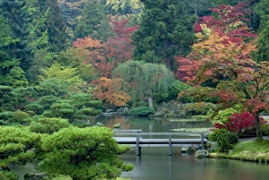 Japanese Garden at the Washington Park Arboretum, Seattle, Washington, USA Japanese Garden at the Washington Park Arboretum, Seattle, Washington, USA
