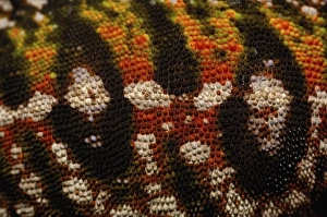 Jewel chameleon skin (Furcifer lateralis) commonly encountered across the island Jewel chameleon skin (Furcifer lateralis) commonly encountered across the island