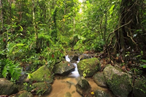 Josephine Falls is one of the most popular sets of waterfalls on the south side of Cairns Josephine Falls is one of the most popular sets of waterfalls on the south side of Cairns