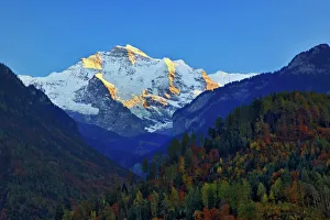 Jungfrau at sunset from Interlaken, Switzerland Jungfrau at sunset from Interlaken, Switzerland