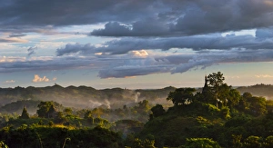 Jungle in sunset mist, Mrauk-U, Rakhine State, Myanmar Jungle in sunset mist, Mrauk-U, Rakhine State, Myanmar