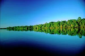 Juruena, Brazil. Forested river bank reflected in the water with no clouds in the sky Juruena, Brazil. Forested river bank reflected in the water with no clouds in the sky