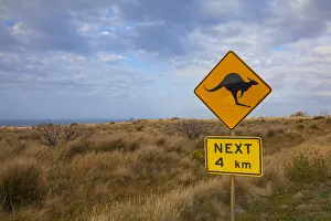 Kangaroo caution road sign along the Great Ocean Road, Australia Kangaroo caution road sign along the Great Ocean Road, Australia