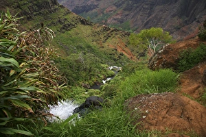 Kauai, Hawaii. Some amazing hiking through Waimea Canyon. Waimea canyon is the largest Kauai, Hawaii. Some amazing hiking through Waimea Canyon. Waimea canyon is the largest