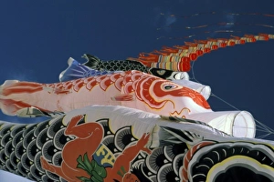 Outdoor Decorations Prints: Kites