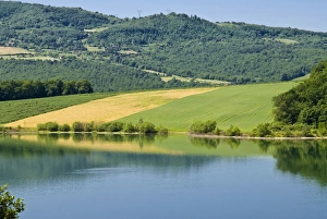 Lake of Bilancino, Mugello, Firenze Province, Tuscany, Italy Lake of Bilancino, Mugello, Firenze Province, Tuscany, Italy