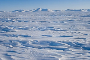 landscape of the frozen Arctic ocean west of Herschel Island, off the Mackenzie River delta landscape of the frozen Arctic ocean west of Herschel Island, off the Mackenzie River delta