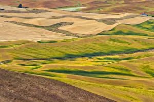 Landscape of rolling wheat field, Palouse, Washington State, USA Landscape of rolling wheat field, Palouse, Washington State, USA