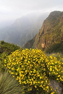 Landscape in the Semien Mountains National Park, Ethiopia Landscape in the Semien Mountains National Park, Ethiopia