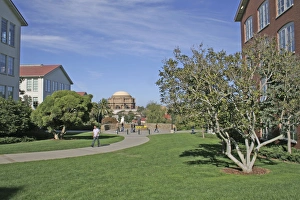 Landscaped park at Letterman Digital Arts Center, Presidio, San Francisco California Landscaped park at Letterman Digital Arts Center, Presidio, San Francisco California