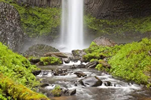 Latourell Falls Oregon Prints: Latourell Falls