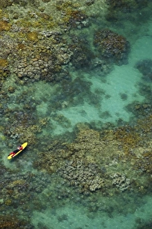 Life Guard and Coral Reef, Low Isles, Great Barrier Reef Marine Park, near Port Douglas Life Guard and Coral Reef, Low Isles, Great Barrier Reef Marine Park, near Port Douglas