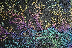 Light refracted in motor oil on wet asphalt pavement revealing a rainbow pattern of colors Light refracted in motor oil on wet asphalt pavement revealing a rainbow pattern of colors