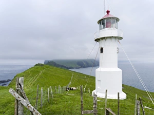 The lighthouse on Mykinesholmur. The island Mykines, part of the Faroe Islands in The lighthouse on Mykinesholmur. The island Mykines, part of the Faroe Islands in