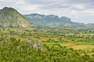 High Angle View Of Valley Prints: The limestone cliffs of the Vinales Valley, Valle de Vinales in Pinar del Rio, Cuba