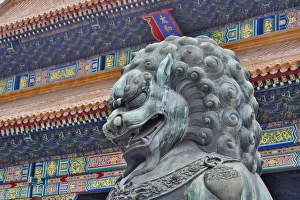 Lion standing guard Forbidden City Beijing the imperial palace during Ming and Qing Lion standing guard Forbidden City Beijing the imperial palace during Ming and Qing