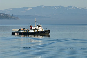 Live-aboard tugboat anchored in Penn Cove with Cascade Mountains beyond Live-aboard tugboat anchored in Penn Cove with Cascade Mountains beyond