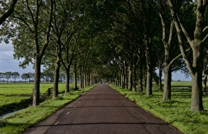 Lonely road at sunset in farming area of Edam village near Amsterdam, Netherlands Lonely road at sunset in farming area of Edam village near Amsterdam, Netherlands