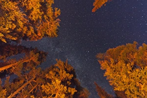 Looking up at starry skies from my campsite at Two Medicine in Glacier National Park Looking up at starry skies from my campsite at Two Medicine in Glacier National Park