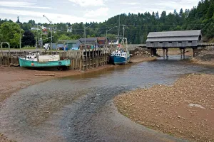 Coastal Erosion Images Prints: Low tide