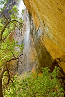 Lower Emerald Pool Waterfall Red rock and Tree, Zion Canyon, Zion National Park, Utah Lower Emerald Pool Waterfall Red rock and Tree, Zion Canyon, Zion National Park, Utah