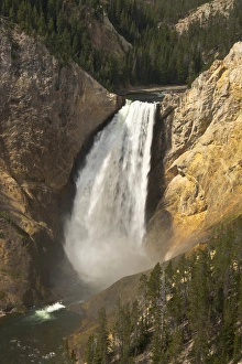 Lower Falls of the Yellowstone, Lookout Point, Yellowstone National Park, Wyoming, USA Lower Falls of the Yellowstone, Lookout Point, Yellowstone National Park, Wyoming, USA