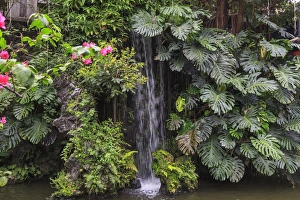 lush Garden Waterfall, Panxi Restaurant, Lichi Bay, Guangzhou, China lush Garden Waterfall, Panxi Restaurant, Lichi Bay, Guangzhou, China