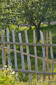 MACEDONIA, Svinista. Garden Gate / Springtime MACEDONIA, Svinista. Garden Gate / Springtime