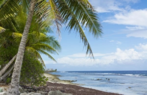 Majuro Marshall Islands beach with palm trees and ocean romantic scene Majuro Marshall Islands beach with palm trees and ocean romantic scene