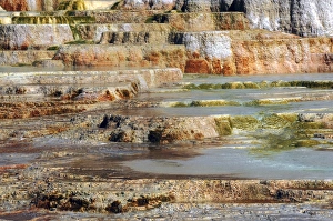 Mammoth Hot Springs Terraces in the Early Morning, Mammoth Hot Springs, Yellowstone National Park Mammoth Hot Springs Terraces in the Early Morning, Mammoth Hot Springs, Yellowstone National Park