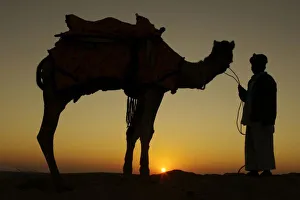 Sunset In The Desert Prints: a man and his camel