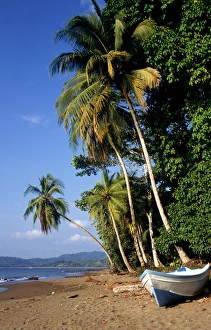 Marenco, Osa Peninsula, Costa Rica. Unspoilt palm fringed beach with freshly painted blue Marenco, Osa Peninsula, Costa Rica. Unspoilt palm fringed beach with freshly painted blue