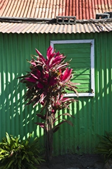 Mauritius, Eastern Mauritius, Trou d Eau Douce, beach shack Mauritius, Eastern Mauritius, Trou d Eau Douce, beach shack