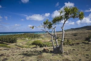 Mauritius, Rodrigues Island, St. Francois, east coast landscape Mauritius, Rodrigues Island, St. Francois, east coast landscape