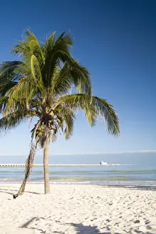 Prints of Mexico, Yucatan, Progreso. The beach of Progreso with the 5 mile long Progreso pier in the background Images Dated 2007 February: Mexico Yucatan Progreso Beach Print