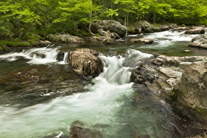 Middle Fork of the Little Pigeon River, Great Smoky Mountains National Park, Tennessee Middle Fork of the Little Pigeon River, Great Smoky Mountains National Park, Tennessee