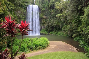 Millaa Millaa Falls is one of the iconic landscapes of far north Queensland and one Millaa Millaa Falls is one of the iconic landscapes of far north Queensland and one