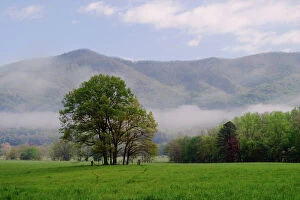 Images Dated 26th April 2004: Misty meadow and Rich Mountain, Cades Cove, Great Smoky Mountains National Park