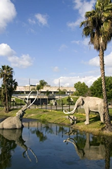 Models of mammoths at the La Brea Tar Pits in Hancock Park, Los Angeles, California, USA Models of mammoths at the La Brea Tar Pits in Hancock Park, Los Angeles, California, USA
