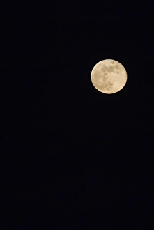 Full Moon Prints: Full Moon