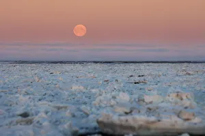 moon over the Arctic ocean during fall freeze up, off the coast of the 1002 coastal plain moon over the Arctic ocean during fall freeze up, off the coast of the 1002 coastal plain