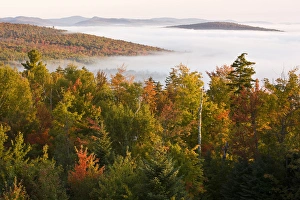 Morning fog as seen from the fire tower at Milan Hill State Park in Milan, New Hampshire Morning fog as seen from the fire tower at Milan Hill State Park in Milan, New Hampshire