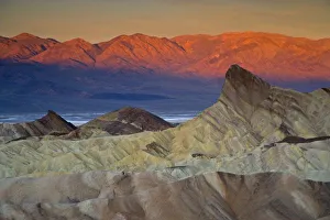 Morning Light In Desert Prints: Mornings first