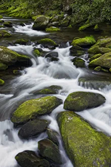 Moss covered boulders and flowing stream, Little Pigeon River, Great Smoky Mountains Moss covered boulders and flowing stream, Little Pigeon River, Great Smoky Mountains