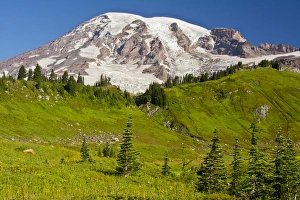 Mount Rainier from Paradise; Mount Rainier National Park; Washington; USA Mount Rainier from Paradise; Mount Rainier National Park; Washington; USA