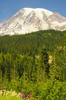 Mount Rainier and Wildflowers, Louise Lake Area, Mount Rainier National Park, Washington Mount Rainier and Wildflowers, Louise Lake Area, Mount Rainier National Park, Washington